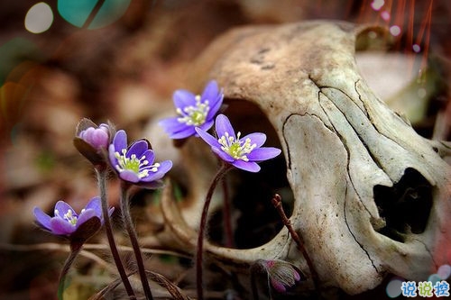 女生跟男朋友撒嬌的說(shuō)說(shuō)帶圖片 女生寫(xiě)給男生的可愛(ài)情話9