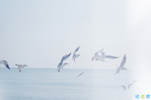 簡(jiǎn)單唯美的一句話圖片說說有道理的那種 生活需要一點(diǎn)詩意7