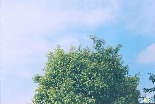 有點(diǎn)傷感的愛(ài)情說(shuō)說(shuō)帶圖片 失去一個(gè)人后是什么感覺(jué) 11