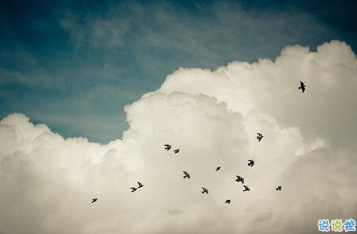 痛到心碎的傷感說說配圖 生活很現(xiàn)實(shí)的傷感說說14