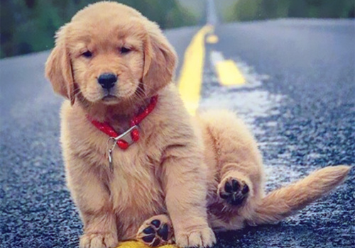 可以戳中中你笑點的搞笑說說帶圖片15