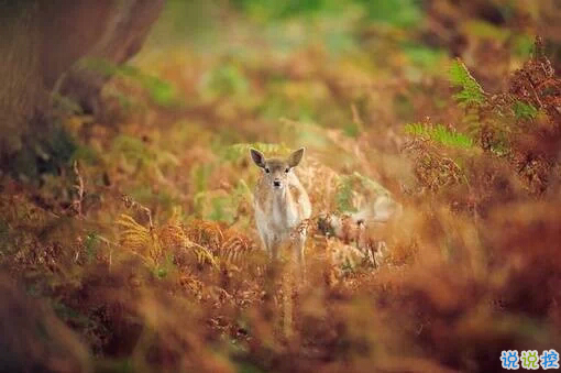 2019二月早安心語簡單一句話 二月你好正能量心情說說1