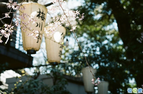 文字控最愛(ài)唯美詩(shī)意的圖片句子 所有的記憶都是潮濕的4