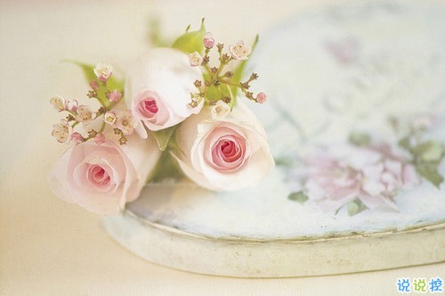 2019告別二月迎接三月勵(lì)志說說配圖 三月你好朋友圈早安心語6