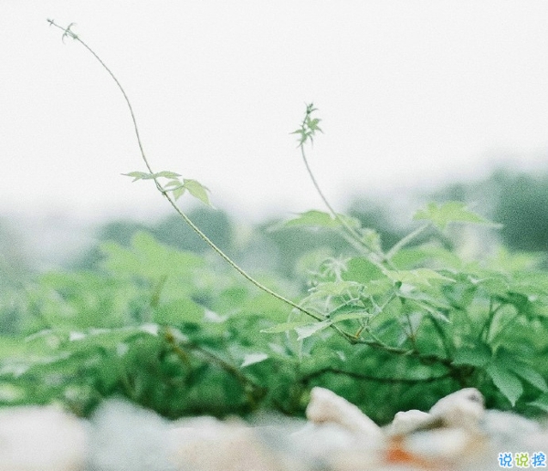 關(guān)于一個(gè)人旅行的精辟哲理說(shuō)說(shuō)帶圖片 每一次旅行其實(shí)都是一場(chǎng)修行1