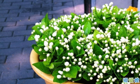 表示無聊的朋友圈說說帶圖片：無聊，是人生的一種正?，F(xiàn)象14