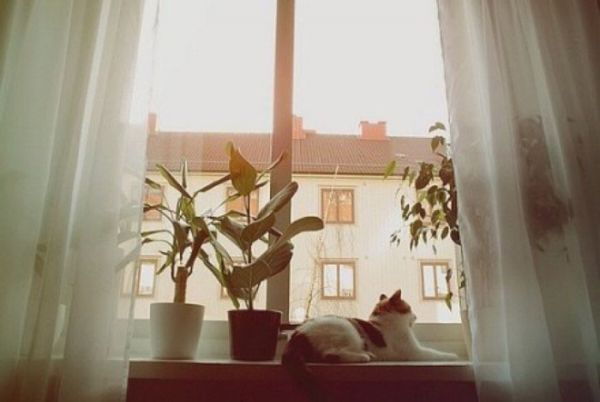 關(guān)于愛情的甜蜜小句子帶圖片 我忘記誰都不能忘記那個(gè)夏天的你4