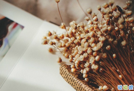 余生還是不要你指教了，我自己過(guò)吧6