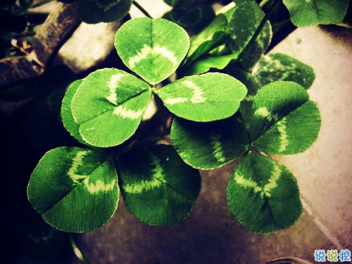 女生傷感說(shuō)說(shuō)帶圖片心情低落 越想越心痛的難過(guò)說(shuō)說(shuō)大全9