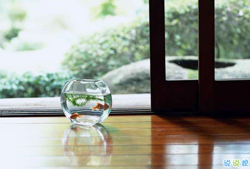 很真實的愛情感悟帶圖片 深有感觸的經(jīng)典愛情說說配圖12