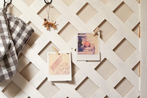 很勵(lì)志的正能量說(shuō)說(shuō)帶圖片 我有孤勇一腔起于星光止于他鄉(xiāng)2