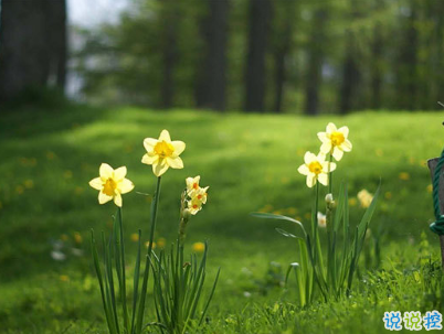 qq文藝傷感愛情說說帶圖片 這世界很大不刻意就不會(huì)再見了8