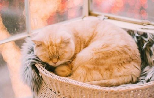 唯美的古風(fēng)說(shuō)說(shuō)帶圖片 喜歡古風(fēng)的女生可以發(fā)的說(shuō)說(shuō)2