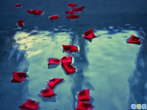 放不下一個(gè)人的說(shuō)說(shuō)內(nèi)心難受 心里住著一個(gè)不可能的人說(shuō)說(shuō)1