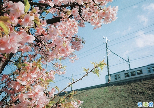 很特別的早安說說大全帶圖片 朋友圈早安心語(yǔ)獨(dú)一無(wú)二吸引人3