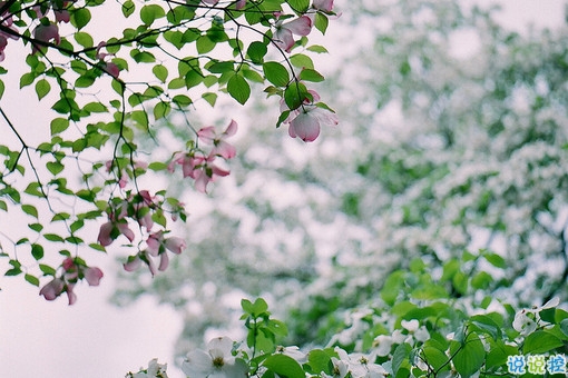 異地戀的心酸傷感說說大全 一天想你八百次的異地戀委屈句子1