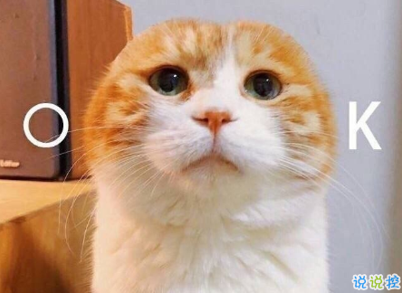 女生超甜的心情說說關于愛情帶圖片 很甜很撩的話適合發(fā)朋友圈配圖4