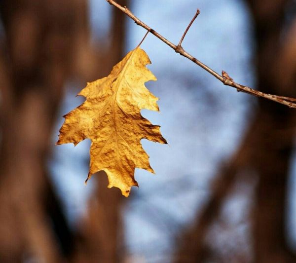 超唯美的經(jīng)典人生感悟說說帶圖片 都說人生如戲10