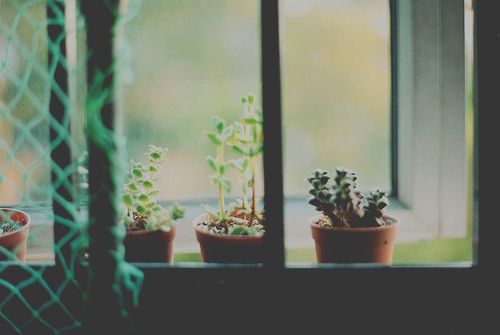 超勵志的正能量心靈雞湯說說帶圖片 與其擔(dān)心未來不如現(xiàn)在好好努力6