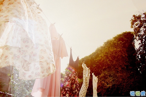 文字控偏愛(ài)的文藝小清新簡(jiǎn)單的唯美句子帶圖片1