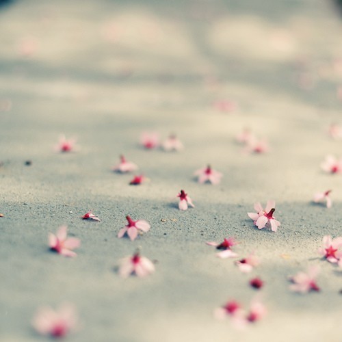 告白時(shí)的文藝?yán)寺樵捑渥?超浪漫的文藝愛情句子2