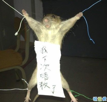 笑死人的說說帶圖片帶文字 逛街時的你和你的朋友16