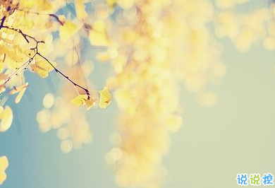 唯美時(shí)尚愛(ài)情說(shuō)說(shuō)帶圖片 很好看的唯美愛(ài)情說(shuō)說(shuō)精選4