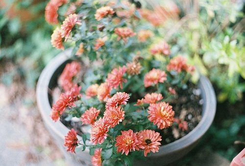 社會現(xiàn)實人情冷暖句子帶圖片 現(xiàn)實又很扎心的句子看透一切配圖9