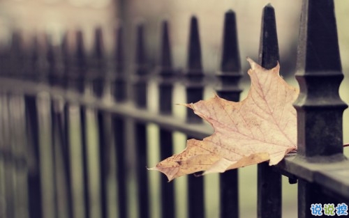 獨(dú)一無(wú)二微信個(gè)性說(shuō)說(shuō)帶圖片 路那么長(zhǎng)少一些人也無(wú)妨12