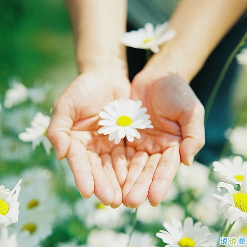 優(yōu)美說說唯美的句子配圖：海底月是天上月，只是鏡花水月5