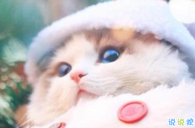 適合社會人的個性說說帶圖片：一巴掌拍醒所有癡心和妄想3