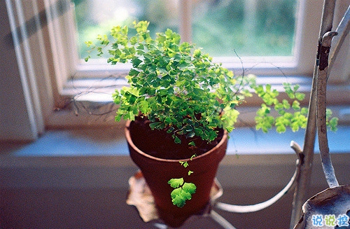 深夜傷心說(shuō)說(shuō)心情短語(yǔ)帶圖片 傷心說(shuō)說(shuō)短句子心情不好配圖5