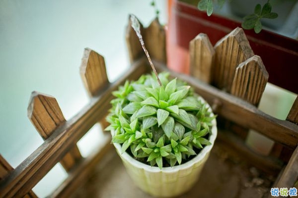 網易云音樂熱評語錄短語精選2019 我勸你早點喜歡我免得浪費時間1