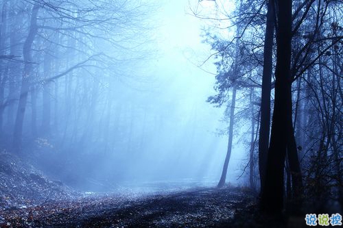 女生跟男朋友撒嬌的說(shuō)說(shuō)帶圖片 女生寫(xiě)給男生的可愛(ài)情話8