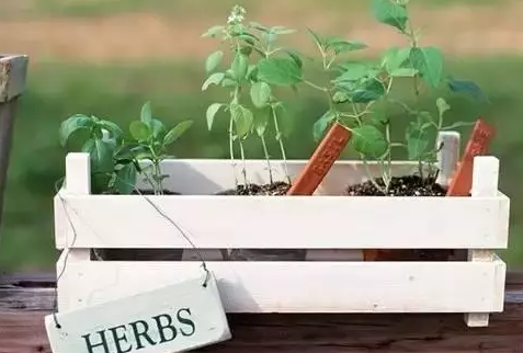 村上春樹經(jīng)典語錄大全，句句戳中你的內(nèi)心2