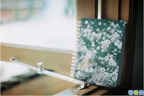 關于現實的人生感悟帶圖片 27條值得收藏和學習的經典說說大全4