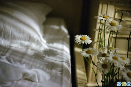 最新適合畢業(yè)季發(fā)的說說帶圖片 時光不老我們不散5