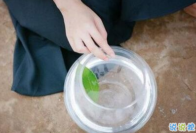 承蒙你出現(xiàn)，夠我喜歡好多年1