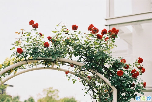 我們一路走來都很堅強的勵志說說帶圖片 很正能量的經(jīng)典勵志說說10