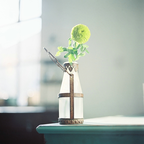 甜蜜浪漫文藝小清新喜歡的愛情圖片說說 決定做你的“小太陽”溫暖你保護(hù)你7