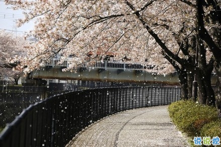 感悟生活的早安心情說說 陽光這么好別辜負(fù)了今天8