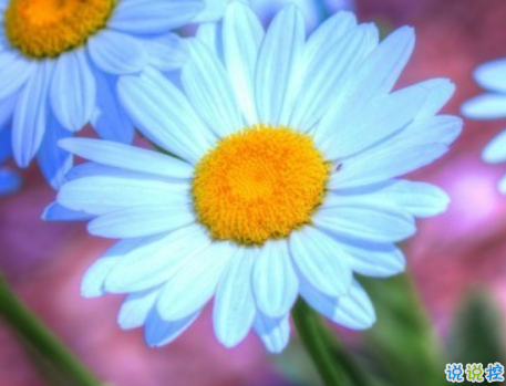 吸引人的超搞笑說(shuō)說(shuō)大全帶圖片 絕對(duì)笑翻天的搞笑說(shuō)說(shuō)配圖15