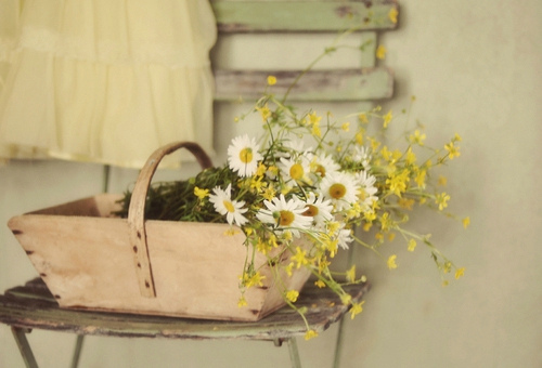 關(guān)于青春和成長(zhǎng)的適合文藝女生發(fā)說說的句子帶圖片11