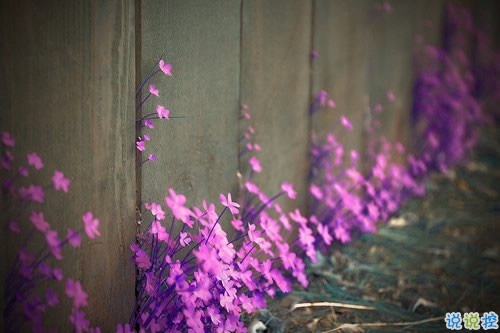 比較有詩意的愛情說說帶點(diǎn)傷感 傷感句子合集能走入女孩子內(nèi)心10