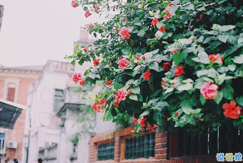 2019最新經(jīng)典說說給人希望 激勵人心的經(jīng)典說說帶圖片4