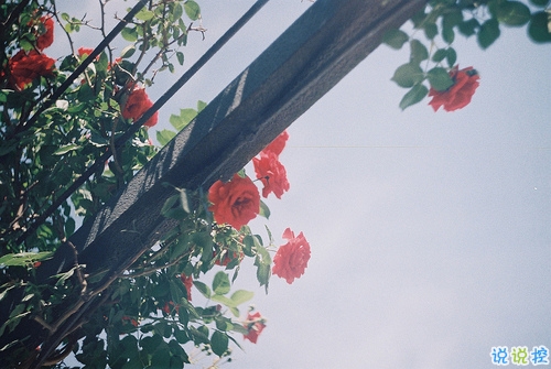 時間讓我們成長成熟的有些難過的傷感說說 生活很現(xiàn)實的成長傷感說說1