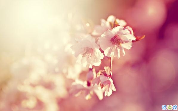 2019最佳表白情話大全簡短撩人 表白情話真實(shí)點(diǎn)感動(dòng)人的1