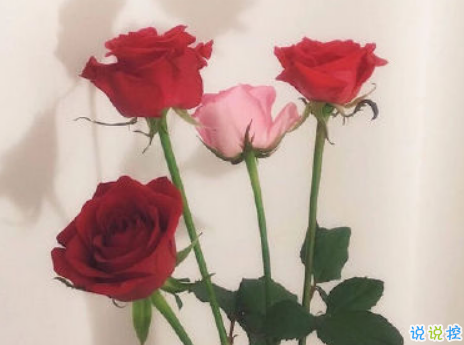 女生現(xiàn)實(shí)霸氣個(gè)性說說配圖大全 最新最酷女生個(gè)性說說帶圖片14