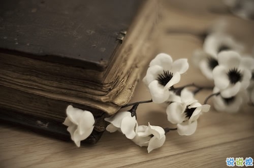 油膩膩的浪漫愛情說說帶圖片 唯美簡(jiǎn)單的一句話愛情表白4