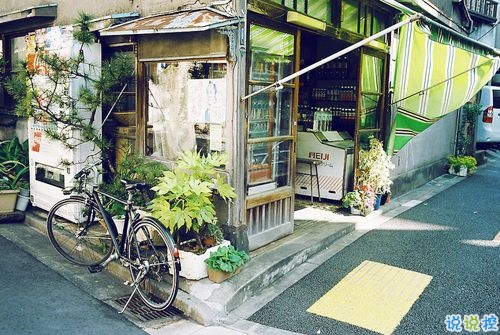 寫給異地戀的說說帶圖片 愿你漂洋過海有人在彼岸等你9